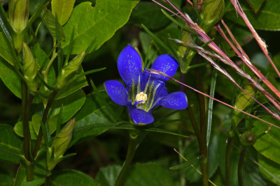 IMG_8469.jpg