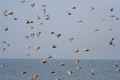 IMG_5732.jpg