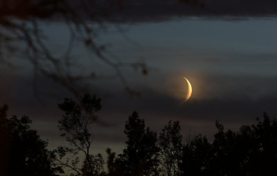 Crescent Moon