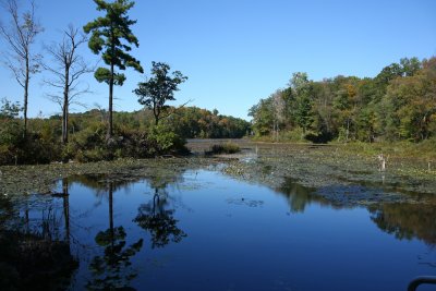 White's Pond