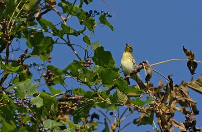 IMG_1931.jpg