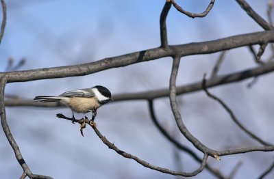 IMG_3012.jpg