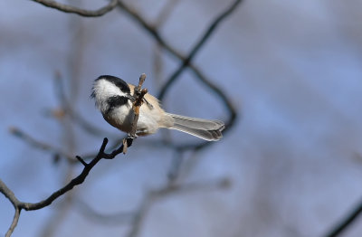 IMG_3016.jpg