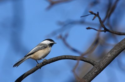 IMG_3030.jpg