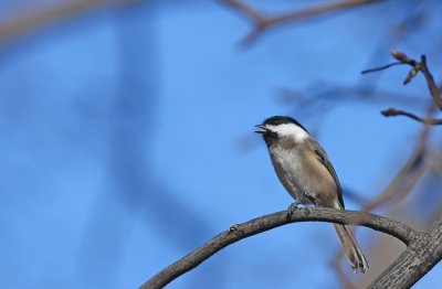 IMG_3035.jpg
