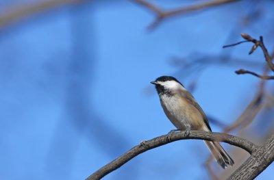 IMG_3036.jpg