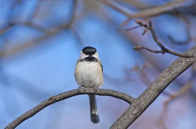 IMG_3037.jpg