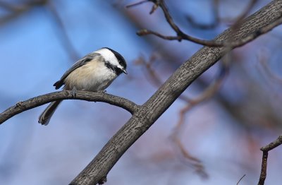 IMG_3039.jpg