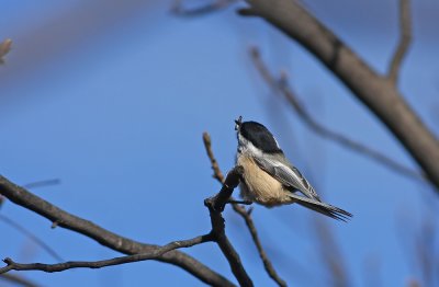 IMG_3048.jpg