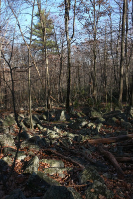 Hawk Mountain Pennsylvania