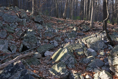 Hawk Mountain Pennsylvania