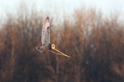 1.IMG_3939.jpg