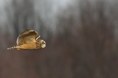 1.IMG_4021.JPG