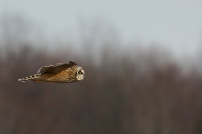 1.IMG_4023.JPG