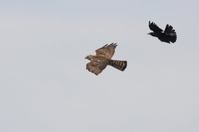 1.IMG_7530.jpg