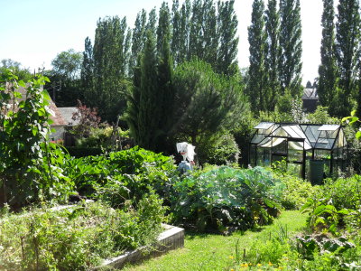 SDC10144.JPG
