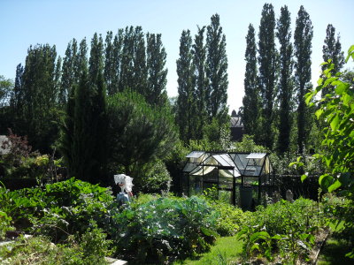 The kitchen garden.JPG