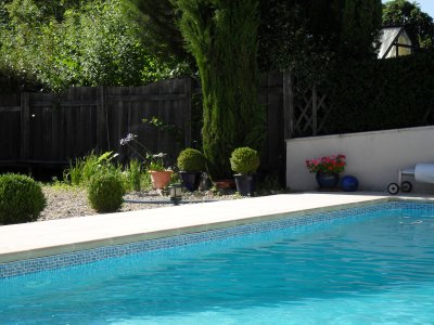 The pool in July.JPG