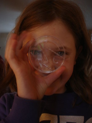 Young Artist
