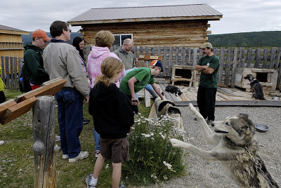 John, the lodge owner, showing his sled dogs