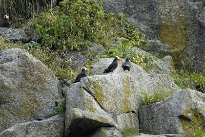 image0065.jpg
