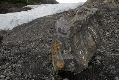 Glacial erratic w/ striations