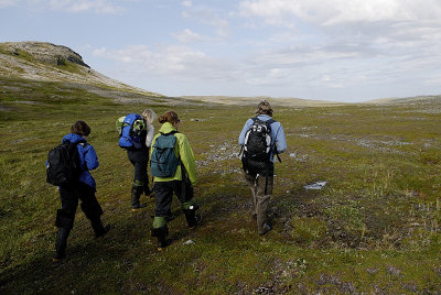 Katmai tundra hiking