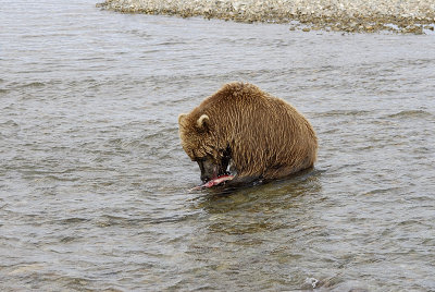 image0100.jpg