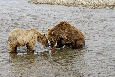 image0103.jpg