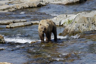image0115.jpg