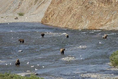 image0120.jpg