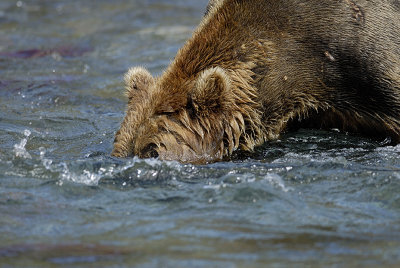 image0124.jpg