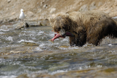 image0131.jpg