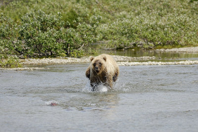 image0135.jpg