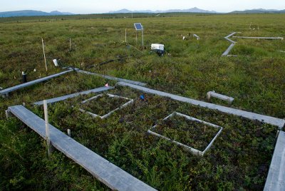 Tundra climate change research