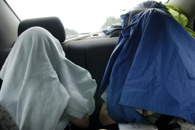 Just what are they doing under there?