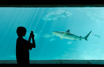 atlantis29.jpg
