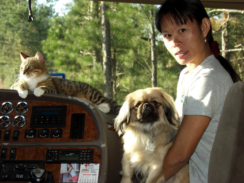 On The Road With Eve, Precious The Pekingese And The Kitty