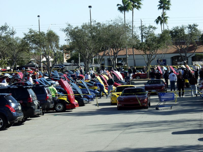 Some Of The 254 Cars In Attendence