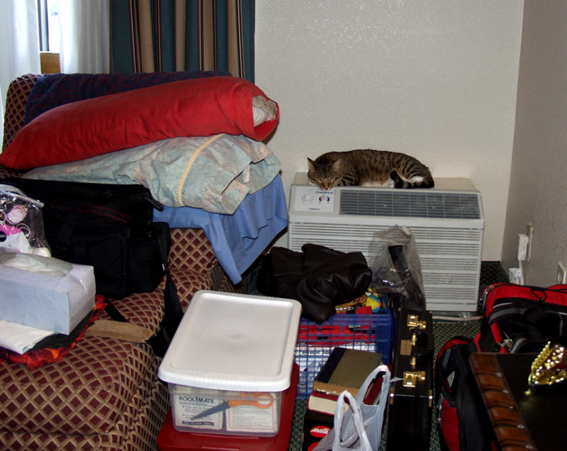 Meanwhile Back In The Room The Kitty Decided To Sleep On The A/C Unit