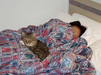 The Kitty Likes To Stay Close To Eve
