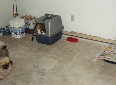 g1/31/628831/3/114707776.t0UP8CaL.jpg