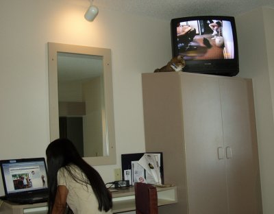 A Few Days Later We Are In A Hotel In Eagan, MN Waiting For Truck Repairs...Notice The Kitty By TV