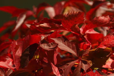 Herbst 2008