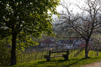 Wachau