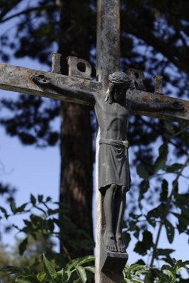 Zentralfriedhof