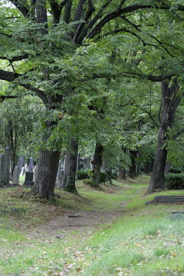 Zentralfriedhof