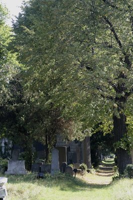 Zentralfriedhof