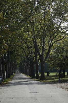 Zentralfriedhof