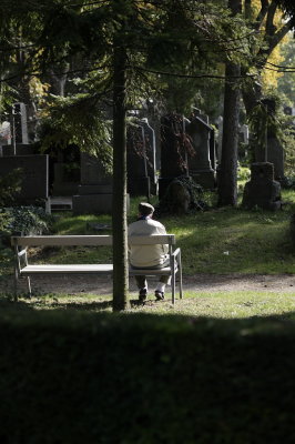 Zentralfriedhof